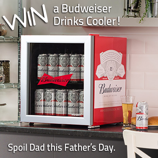 Budweiser fridge for sale discount